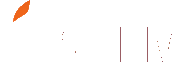 SSLM